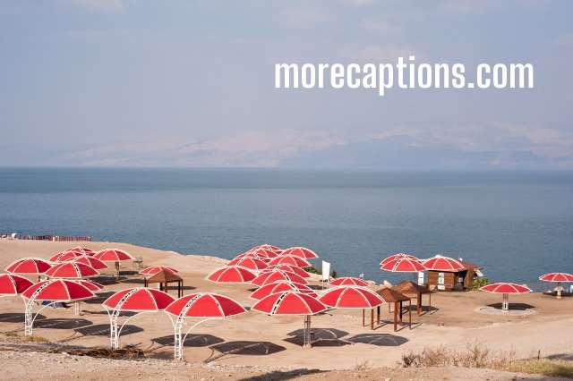 Sea Park Captions for Instagram