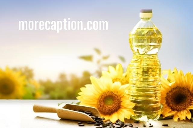 Edible Oil Captions for Instagram