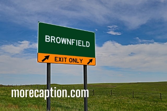 Brownfield Redevelopment Quotes