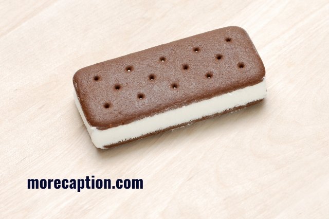 Ice Cream Sandwich Captions for Instagram